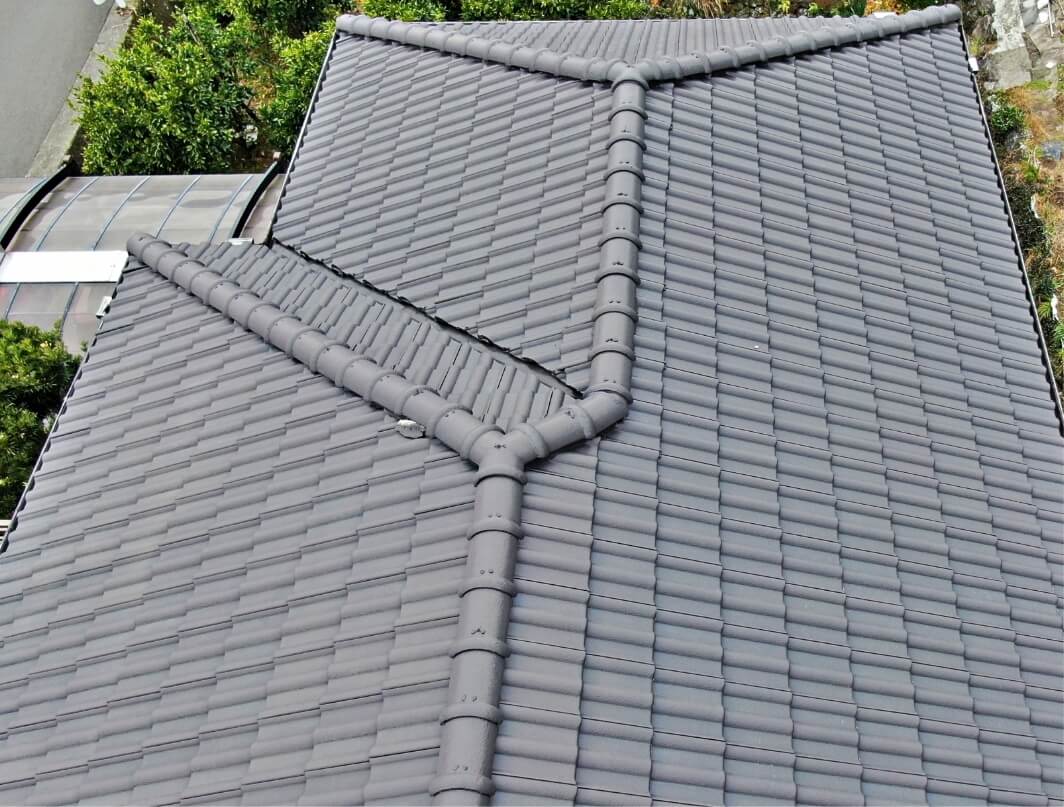 屋根に登って上から調査