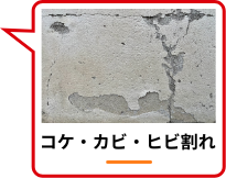 コケ・カビ・ひび割れ